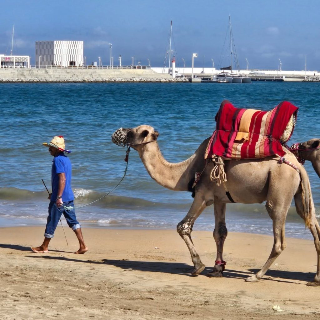 The Corniche, Sea, Tangier, Morocco