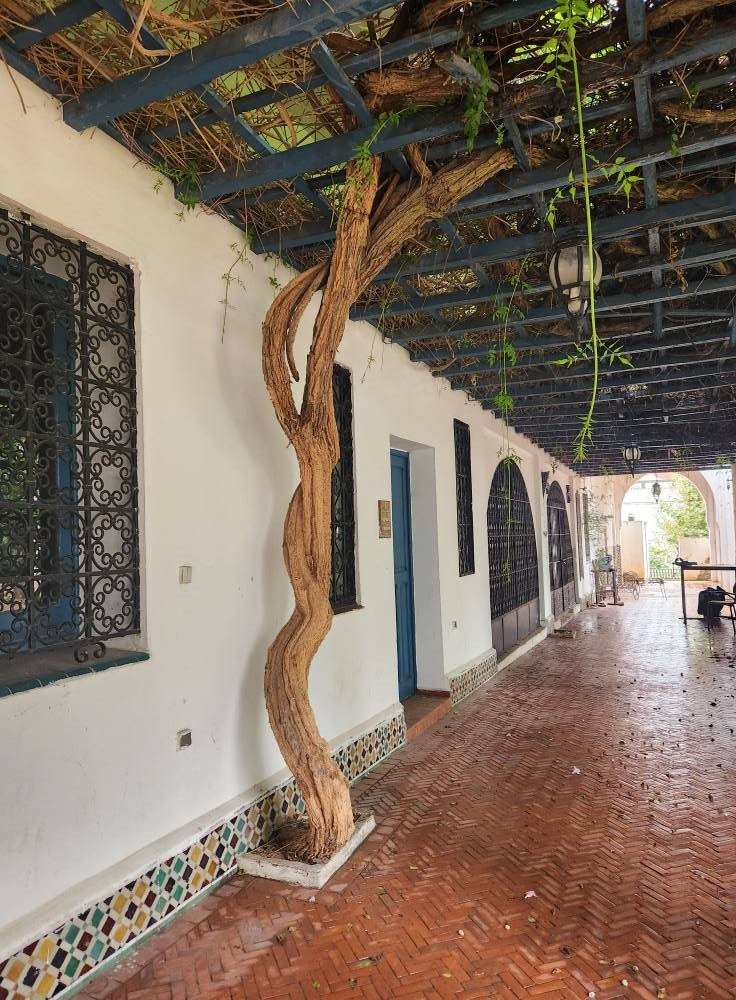 The Ethnographic Museum and the Royal Artisan School, Tetouan, Morocco