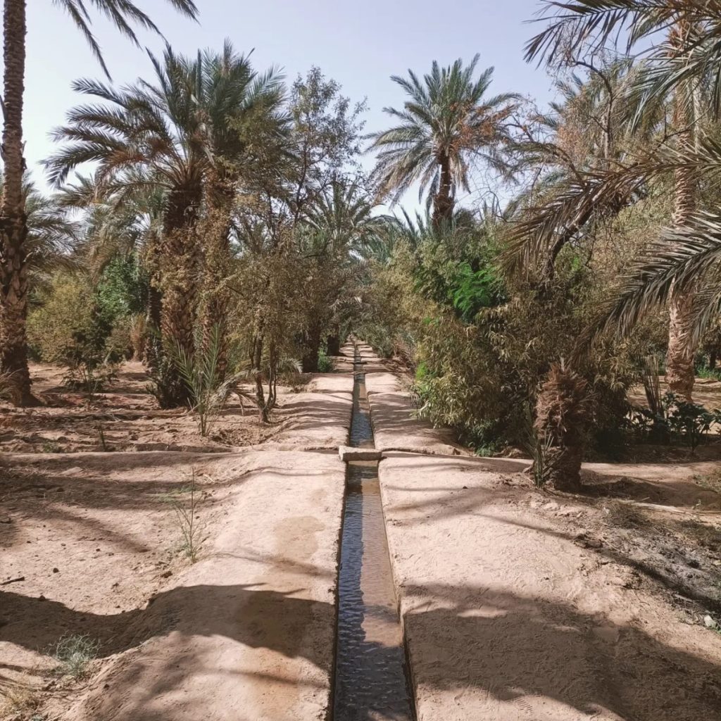 Todra Gorge, Tinghir, Morocco
