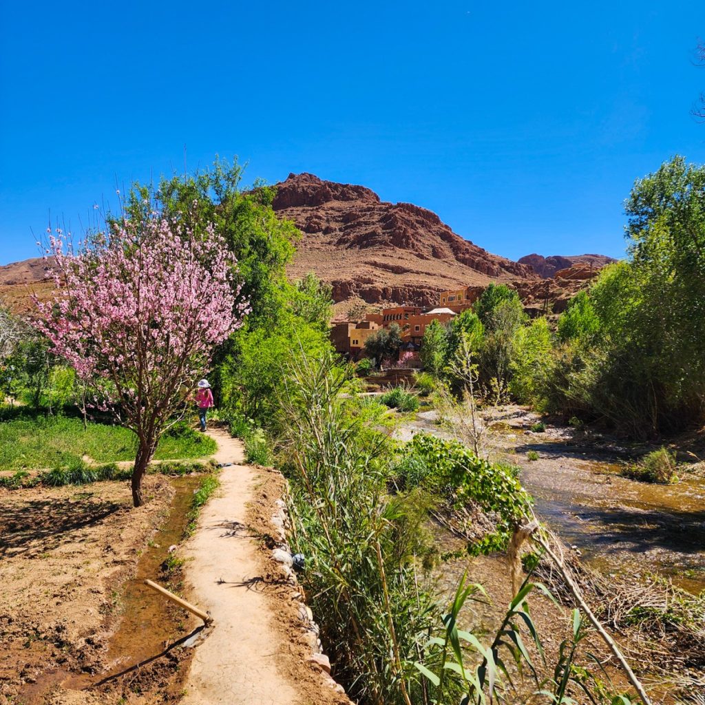 Todra Gorge, Tinghir, Morocco