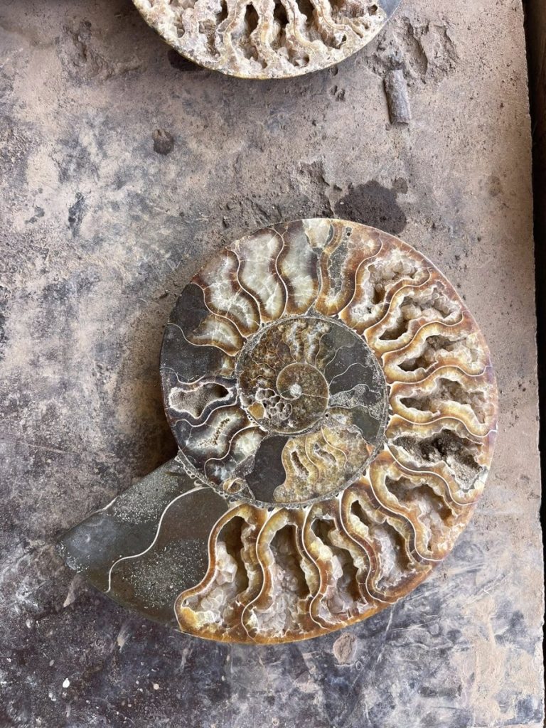 Todra Gorge, Tinghir, Morocco