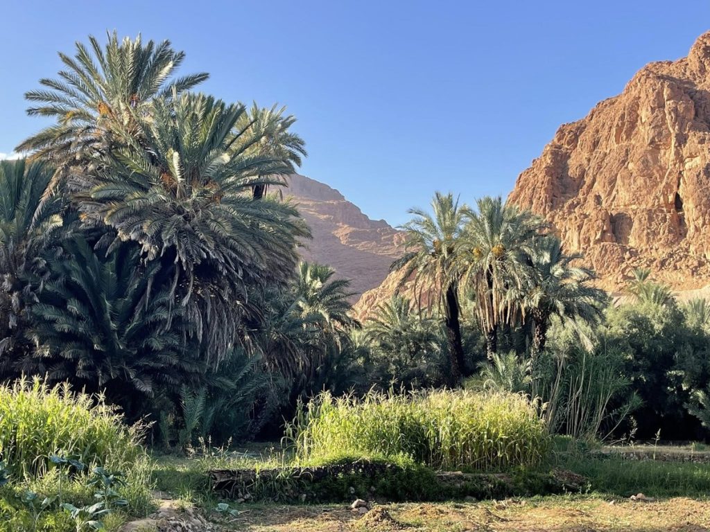 Todra Gorge, Tinghir, Morocco
