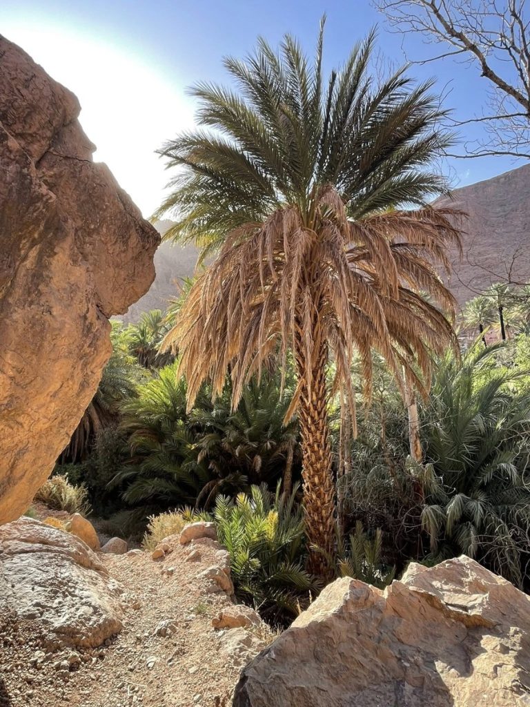 Todra Gorge, Tinghir, Morocco