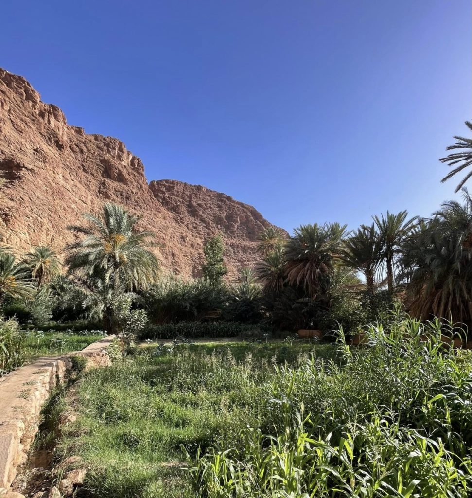 Todra Gorge, Tinghir, Morocco