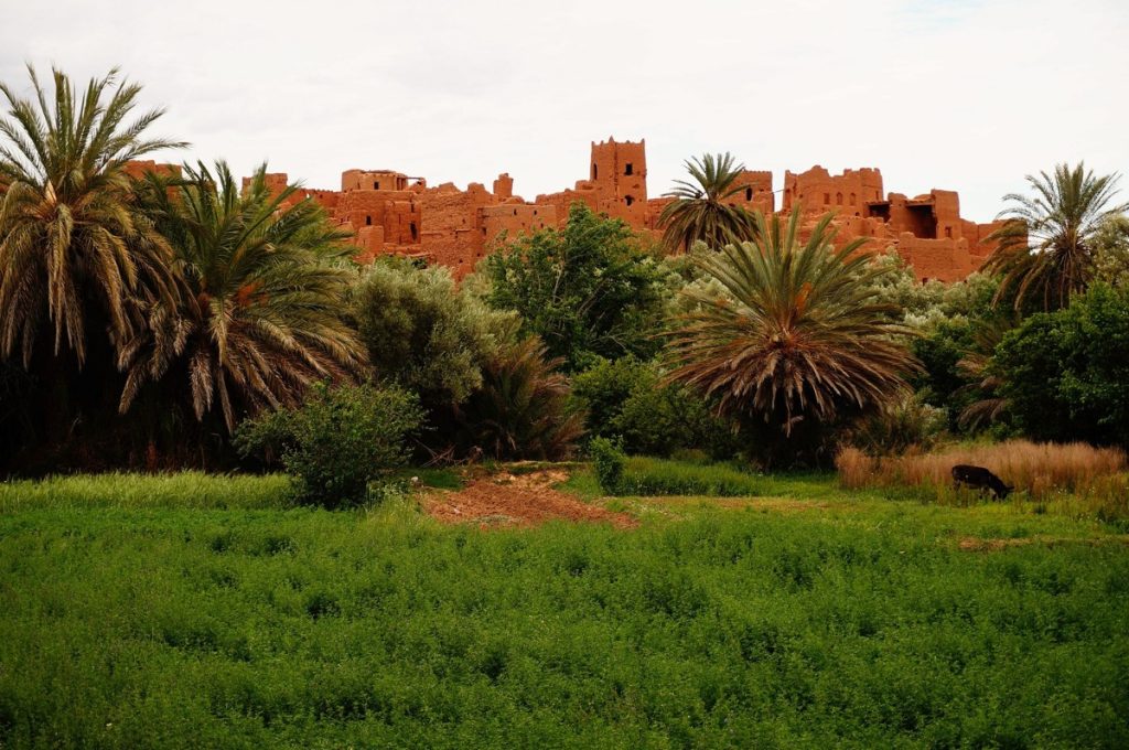 Todra Gorge, Tinghir, Morocco