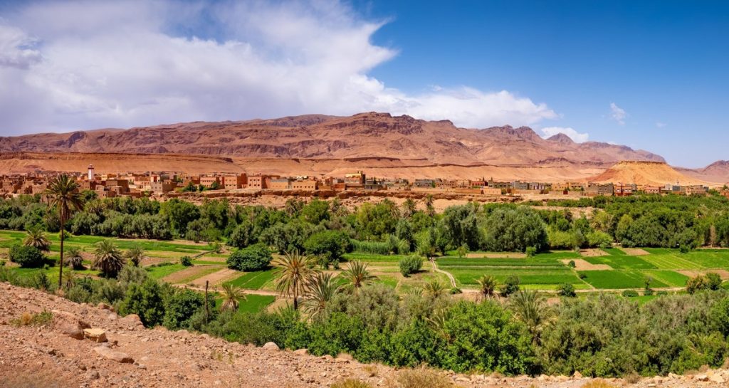 Todra Gorge, Tinghir, Morocco