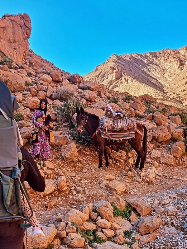 Todra Gorges, Morocco
