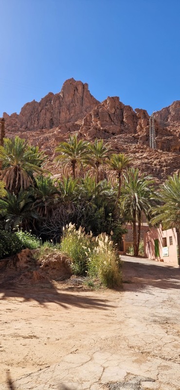 Todra Gorges, Morocco
