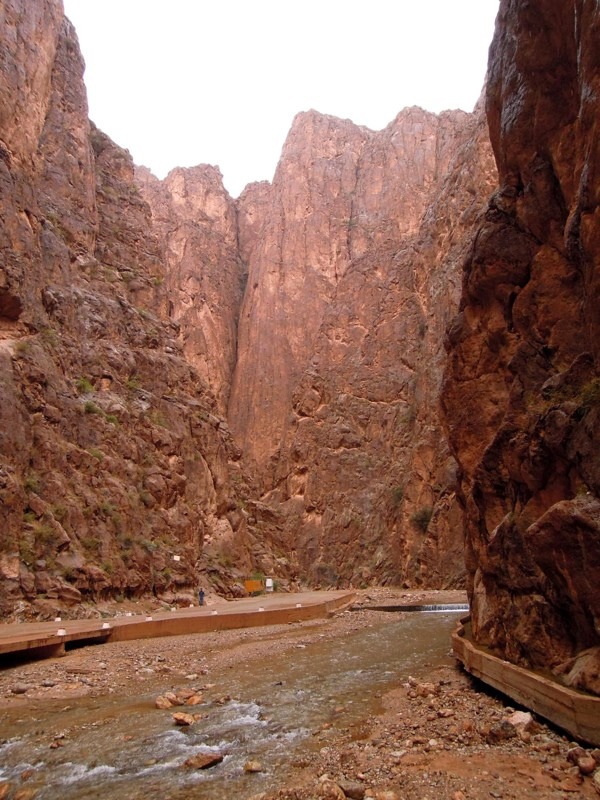 Todra Gorges, Morocco