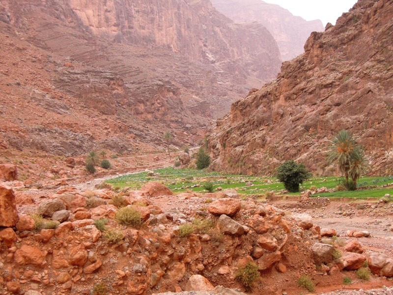 Todra Gorges, Morocco