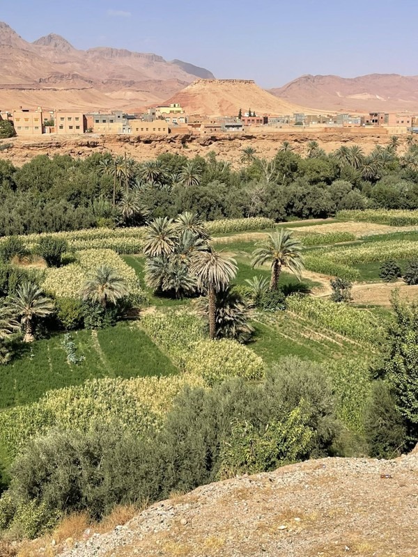 Todra Gorges, Morocco