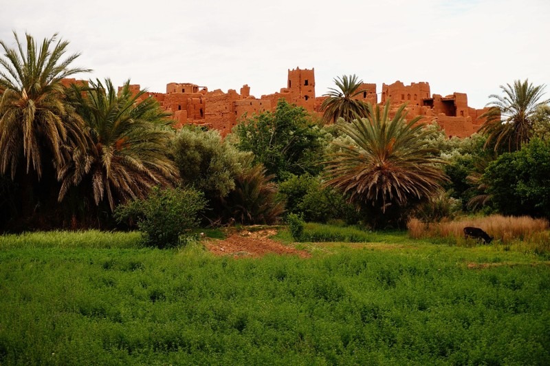 Todra Gorges, Morocco