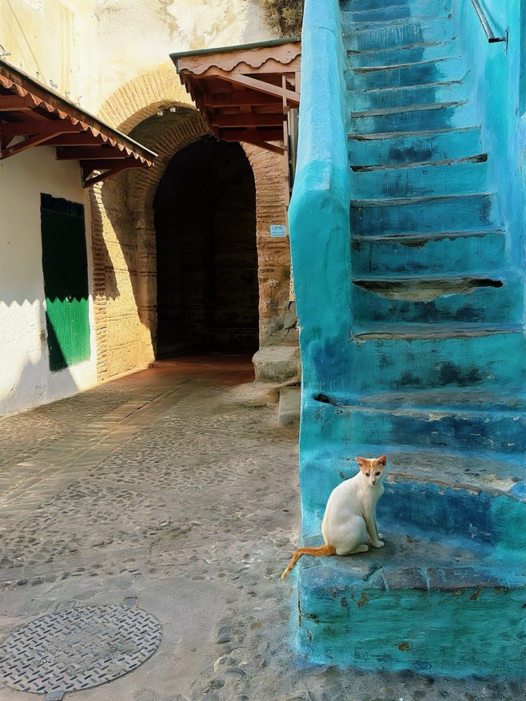 Ways, Tetouan, Morocco