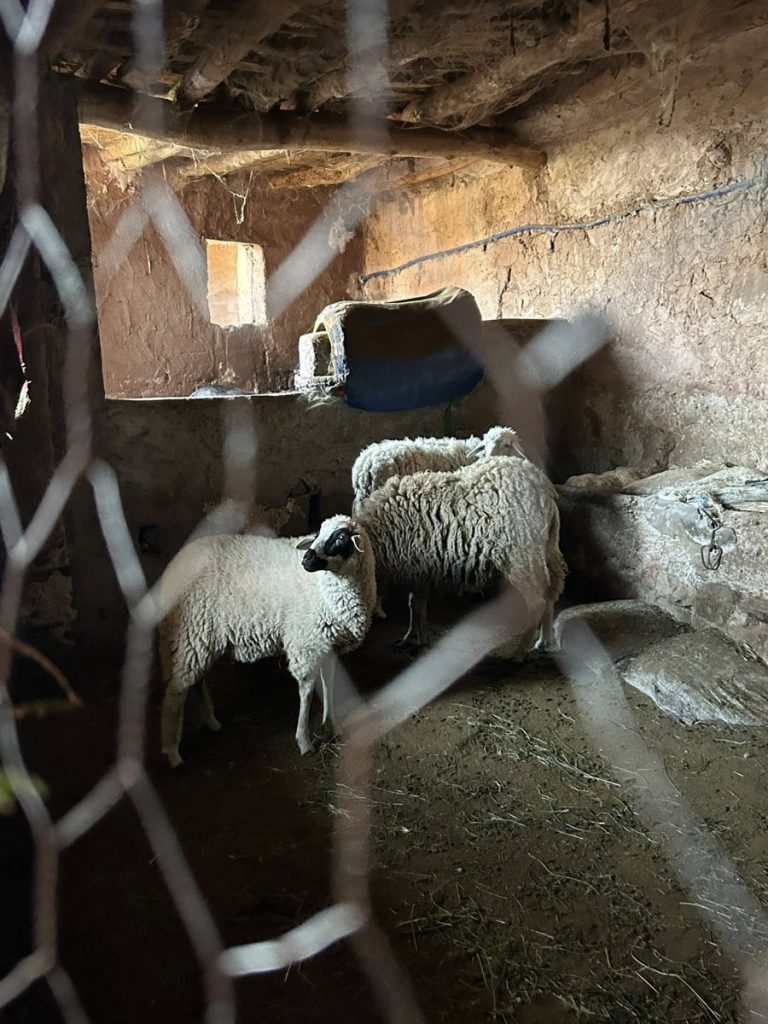 Women's Cooperative, Ksar Aït Ben Haddou, Morocco