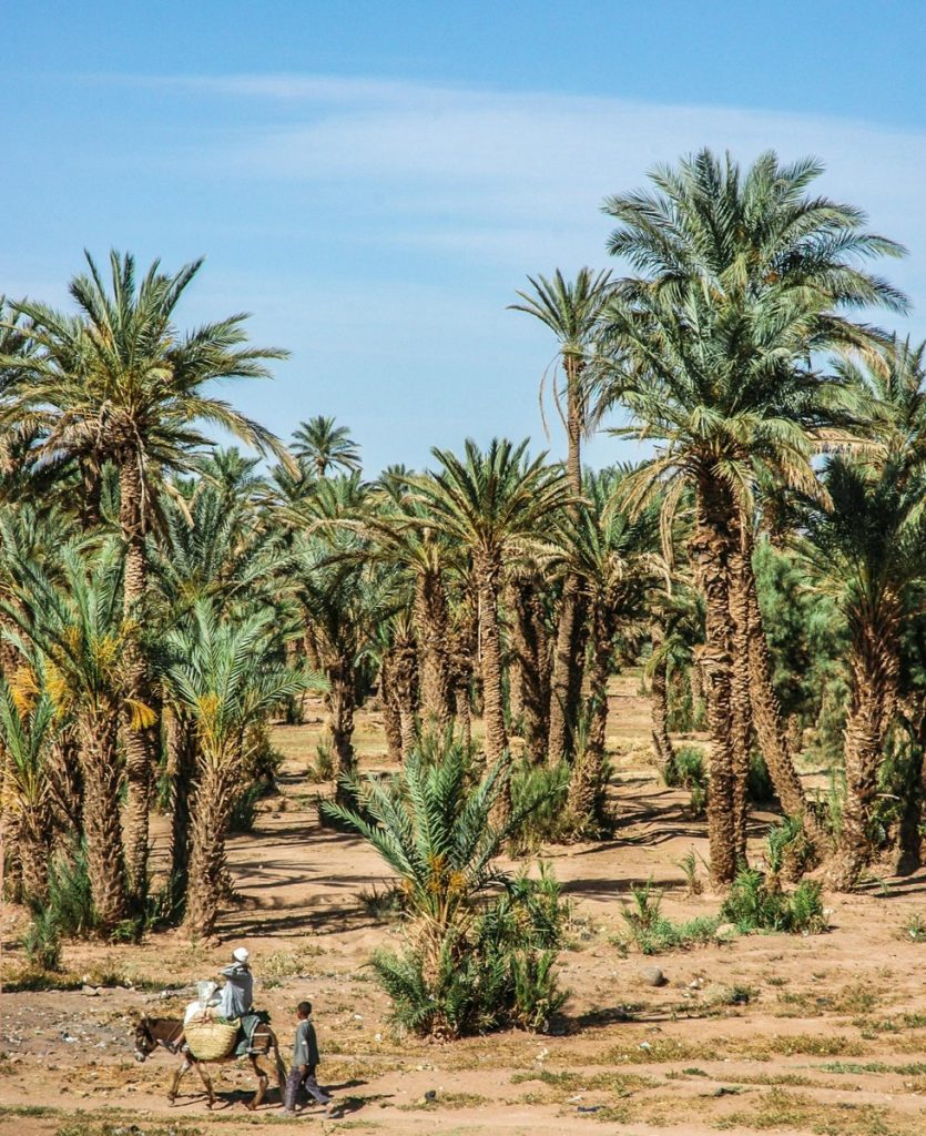 Zagora, Morocco