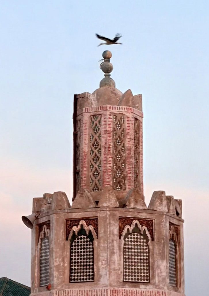 Architecture of Tetouan Medina, Morocco