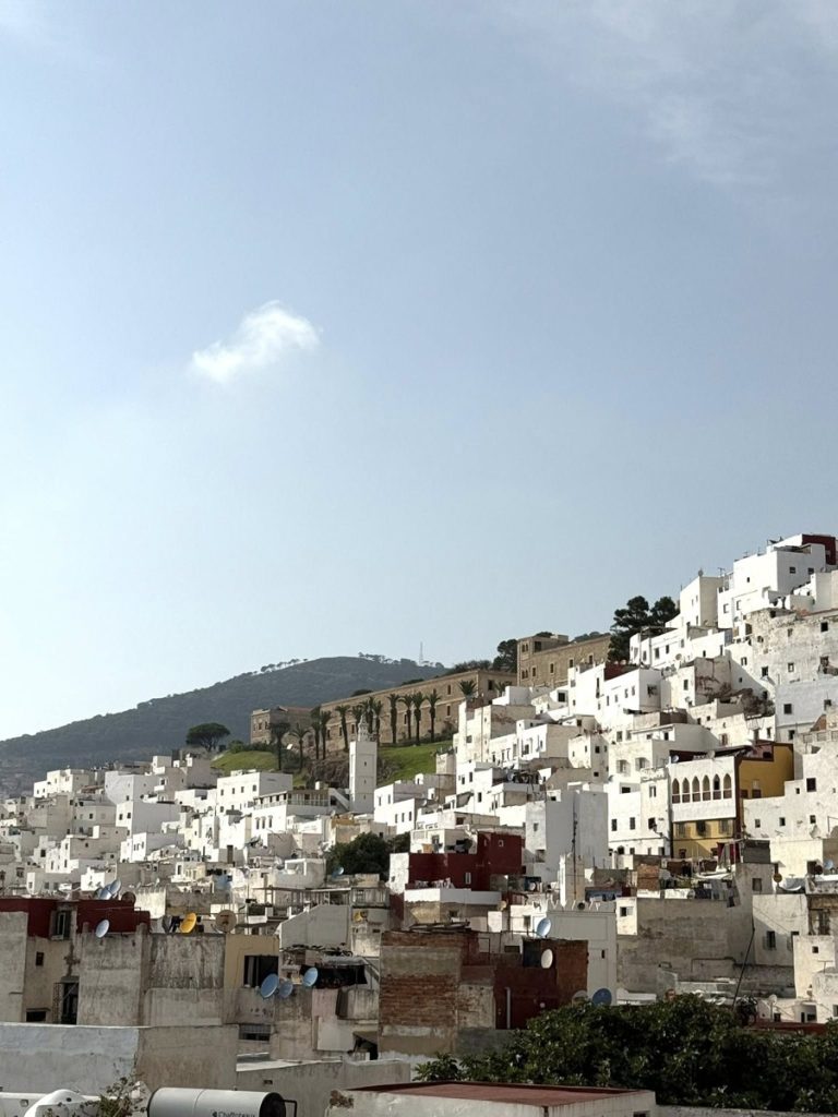 Architecture of Tetouan Medina, Morocco