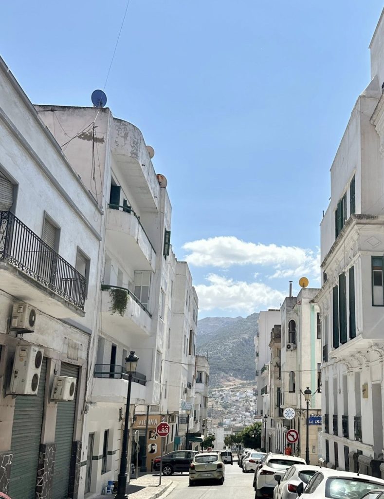 Architecture of Tetouan Medina, Morocco